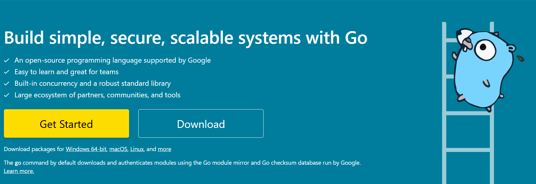 Ubuntu安装最新版Go